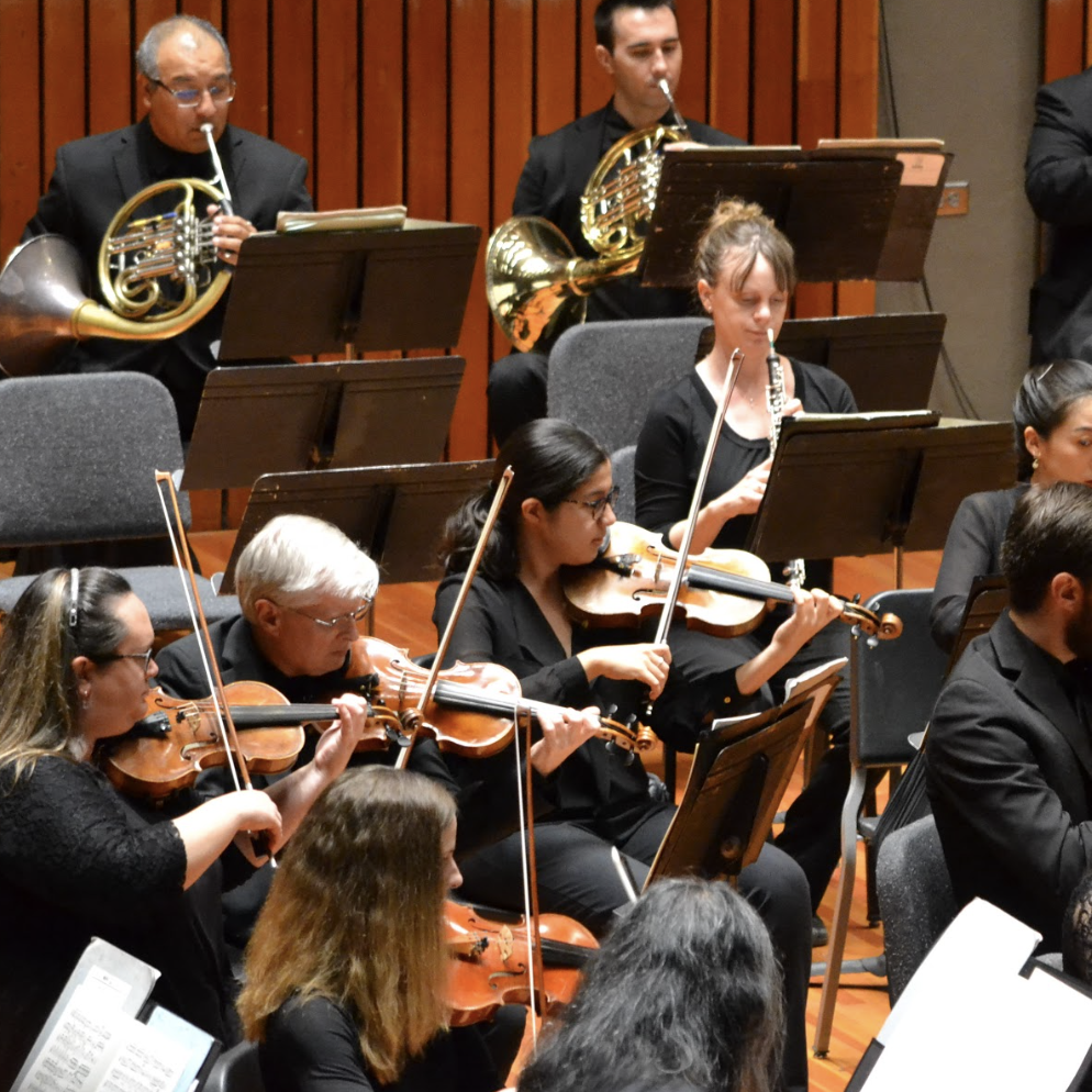 Ballet Tucson and Tucson Symphony Orchestra Announce Vibrant New Partnership