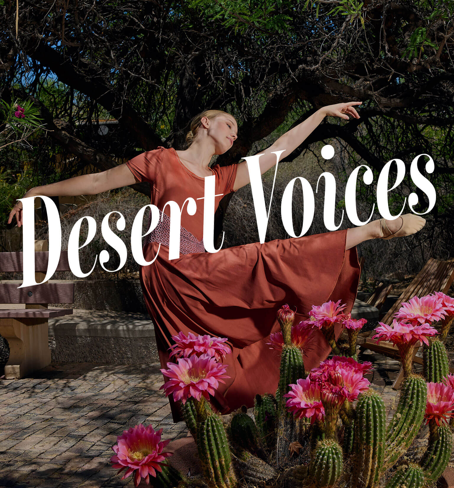 Desert Voices